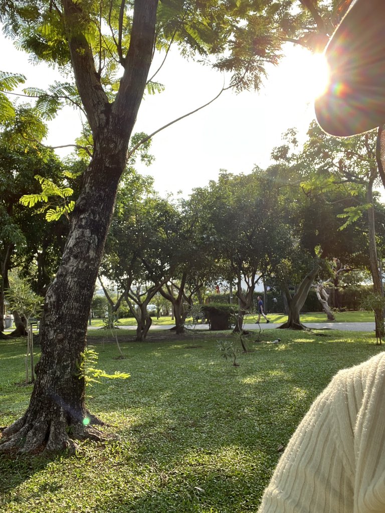 southern drift tweet media
