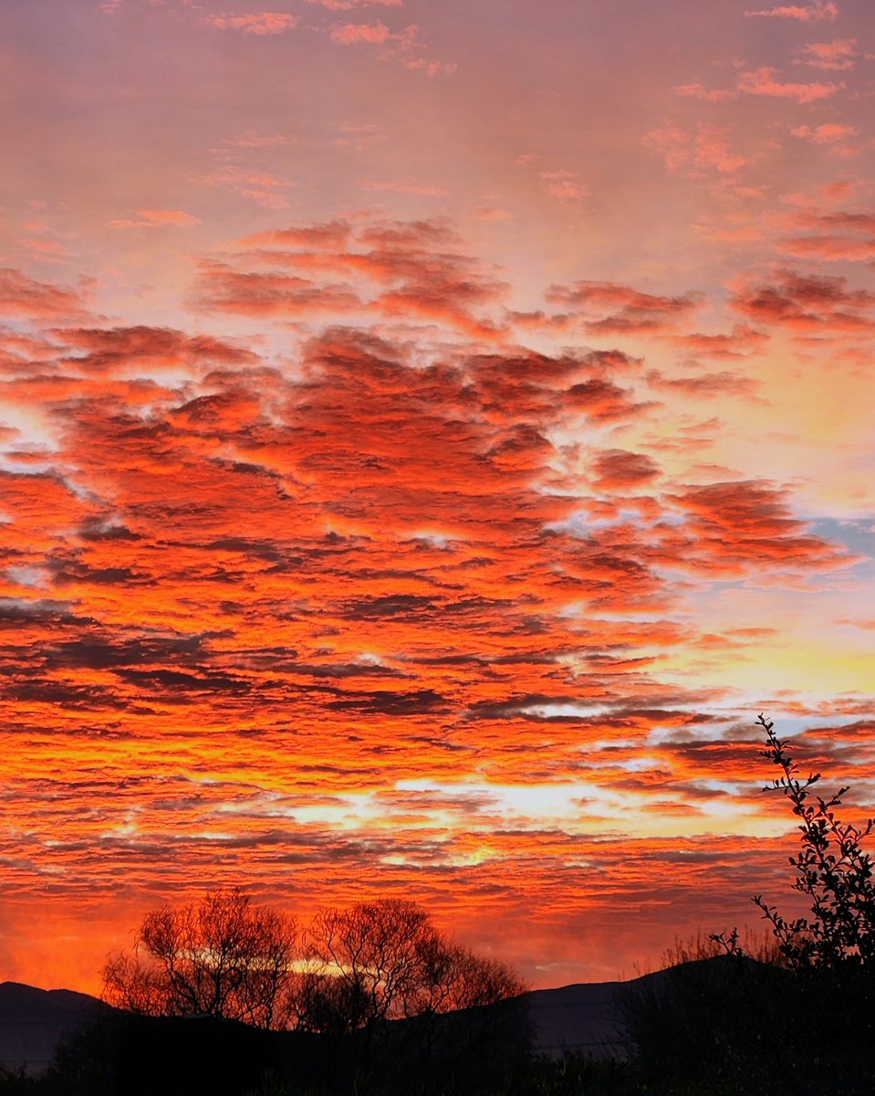 Bill Meier tweet media