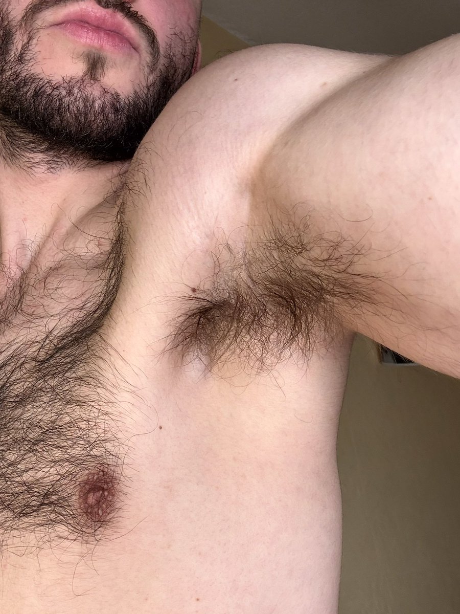 urhairybro tweet media