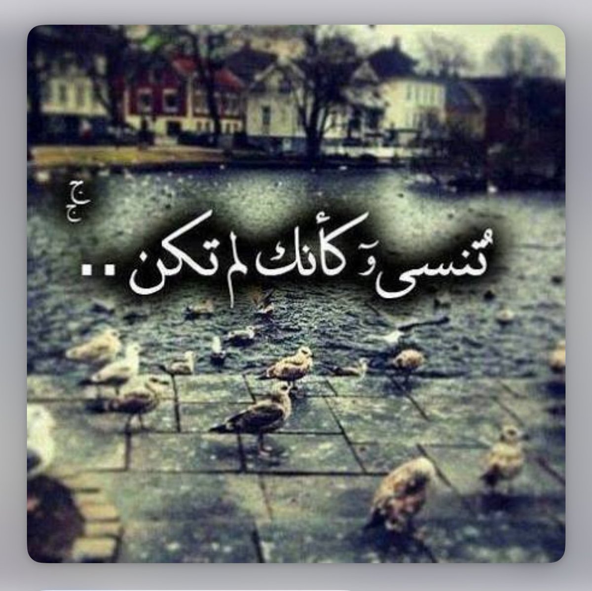 Said77142940's tweet photo. تنسى كانك لم تكن شيئا وتنسى جميع حركاتك وحلو كلامك

تنسى فانت عدم وتراهم جمعوا لك حقدا وحسد

تنسى خلف الظهر وامام العرض وبالخفاء وكلهم كرها لك وجفاء

تنسى لترم في مكانك وتنسى محاسنك وخصائص لفتك وصفاتك

وتاكل من أقرانك واقرابك نيئا ولا يهم حيا كنت أو ميتا لانك ملغى ستنفى وتنسى … https://t.co/407mwhTQPj