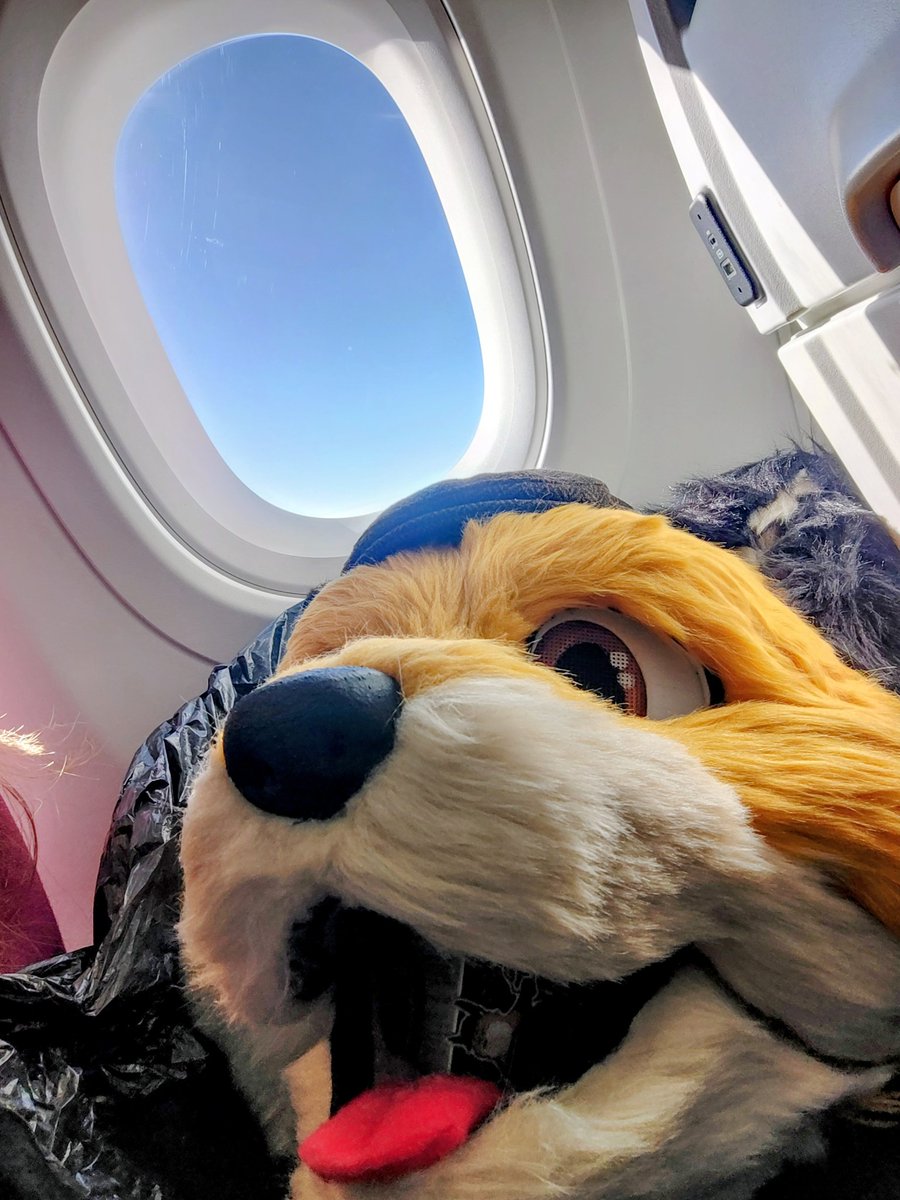 Notafurryipromise tweet media