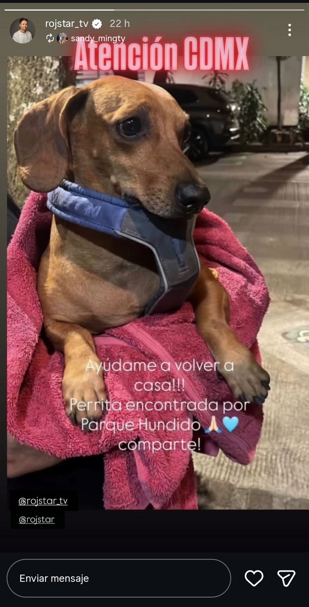 <a href="/En_laDelValle/">En la Del Valle</a> perro encontrado <a href="/parquehundido/">ParqueHundido</a> <a href="/PrrosPerdidosMX/">PerrosPerdidosMx</a>