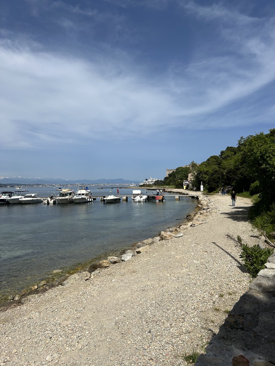 timelessflo's tweet image. Mi manca 💙