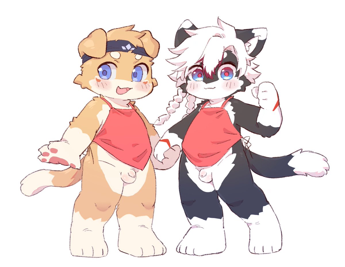 WildStar⭐六等星野黑 tweet media