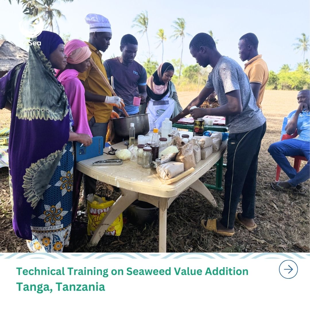 resea_project's tweet photo. With support from @CanadaDev, communities in Tanga are learning seaweed value addition, unlocking new income streams and climate-resilient livelihoods.
#ReSeaProject #BluePeople #BlueEconomy #GenderEquality #InclusiveClimateAction #GreatBlueWall https://t.co/xIHmOBpNFb