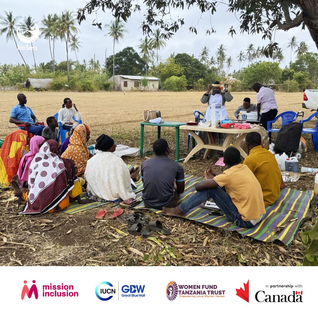 resea_project's tweet photo. With support from @CanadaDev, communities in Tanga are learning seaweed value addition, unlocking new income streams and climate-resilient livelihoods.
#ReSeaProject #BluePeople #BlueEconomy #GenderEquality #InclusiveClimateAction #GreatBlueWall https://t.co/xIHmOBpNFb
