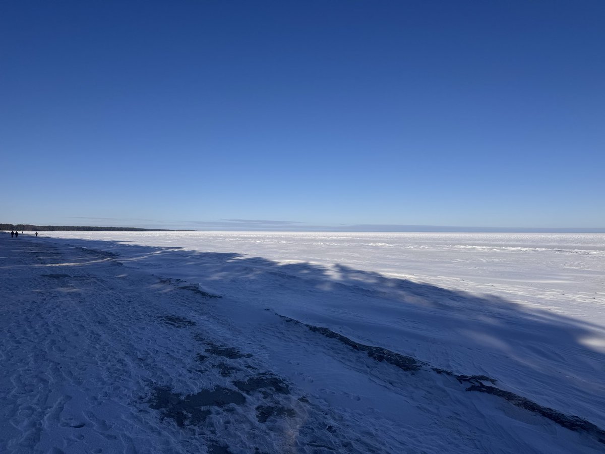 John Chain tweet media