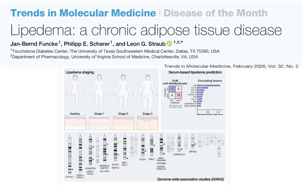 UTSWdiabetes tweet media