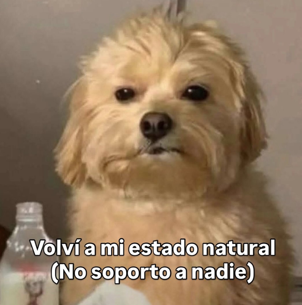 Rolita (@_onerolita) on Twitter photo 