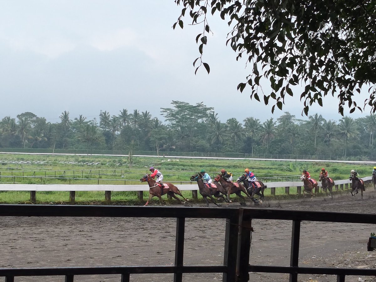 Indonesia Horse Racing. Central Java Derby 2026.