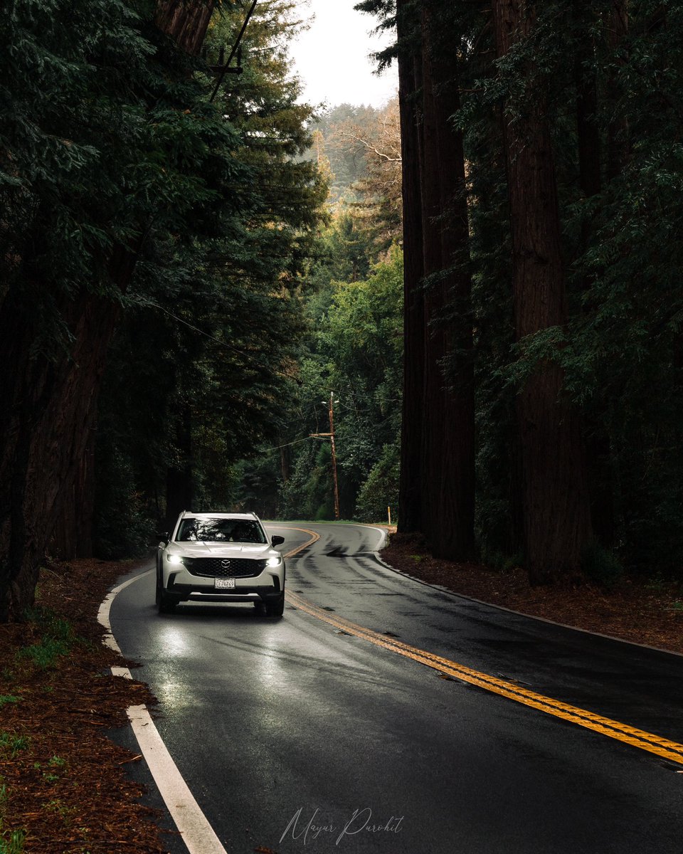 Mayur Purohit tweet media