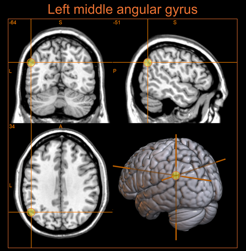 Rocco Chiou tweet media