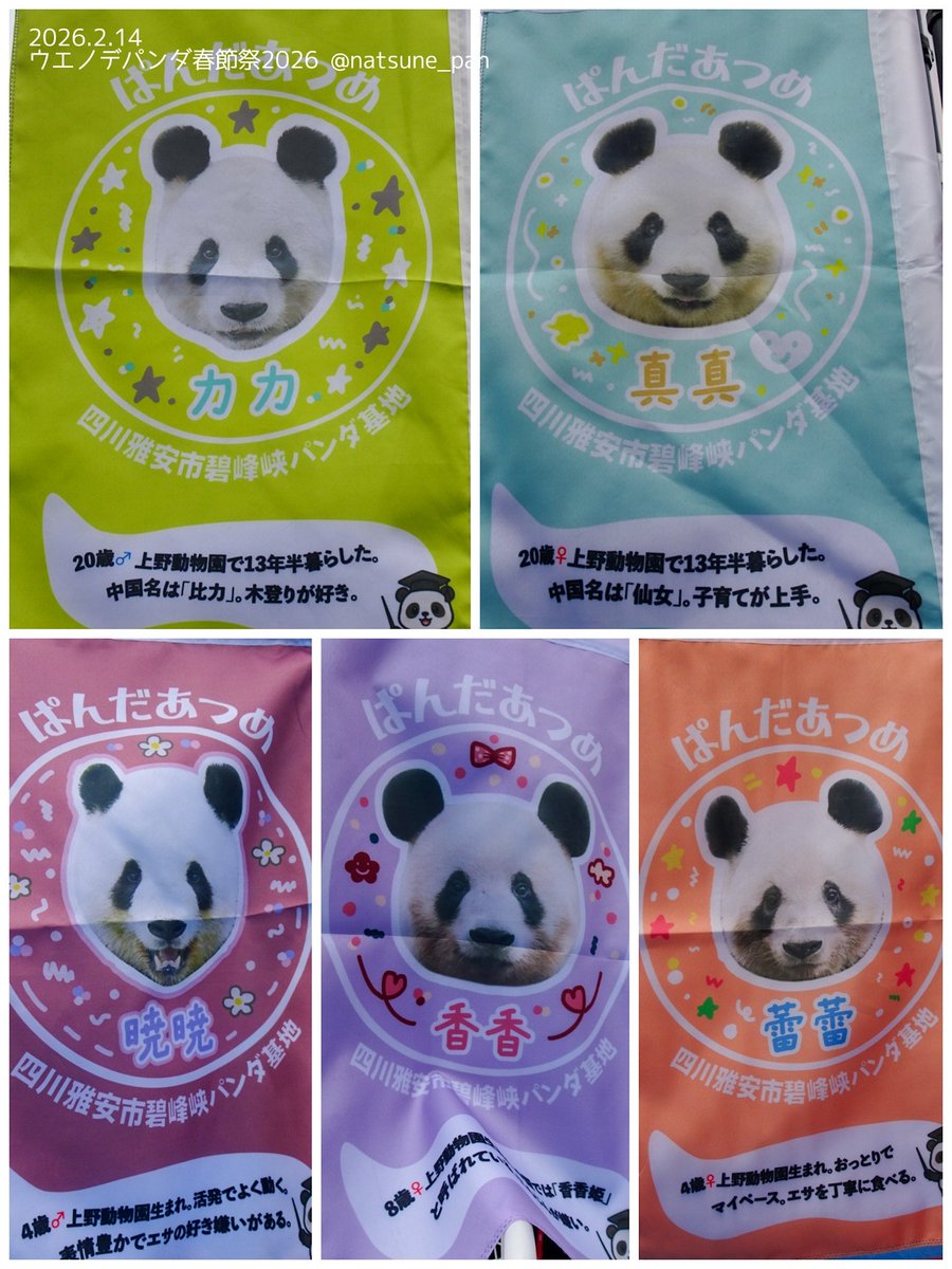 リーリーとシンシンが、 日本名の #力力 #真真 でした❣️ お気遣いが