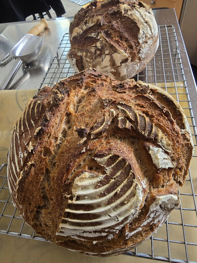 Two boules of home-baked sourdough bread