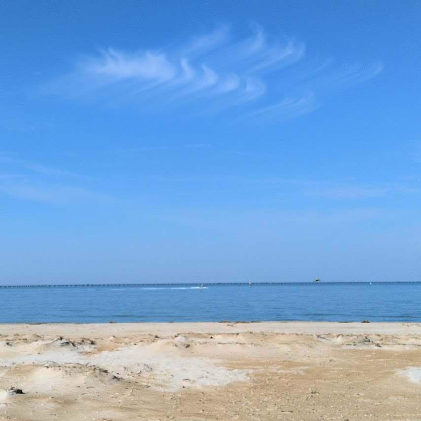 Paul Rice tweet media