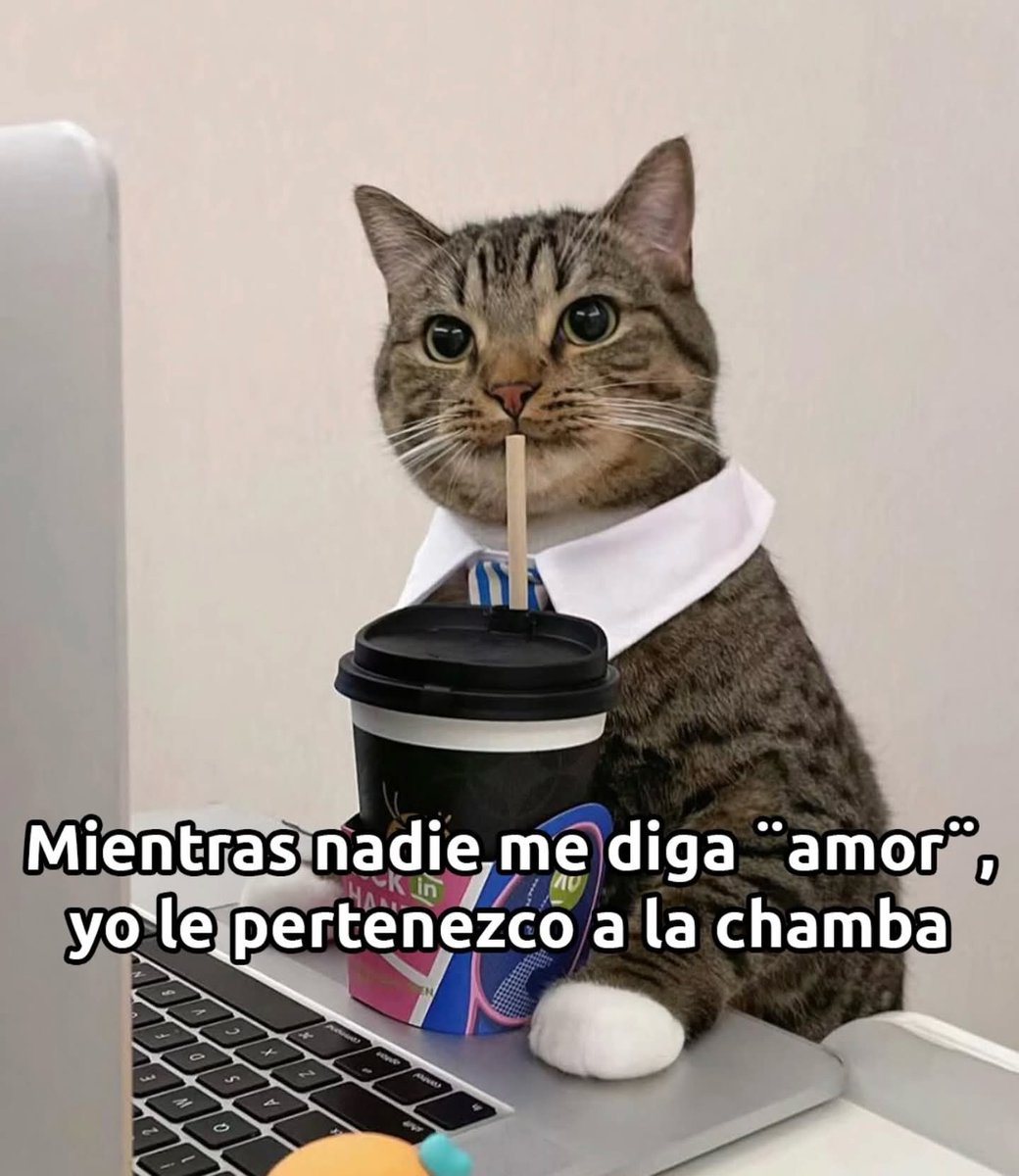 angelo_uf's tweet photo. https://t.co/FP8BwQnYMb