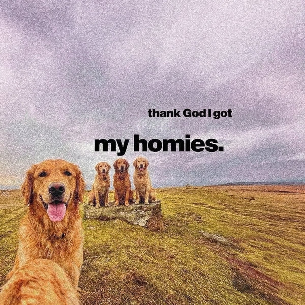 Silver (@silver_ceo) on Twitter photo 