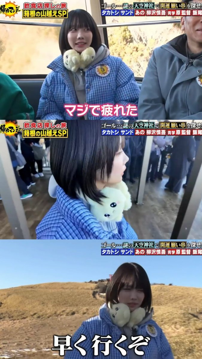 USED&SELECTほんわか (@honwaka61) / Highlights / X