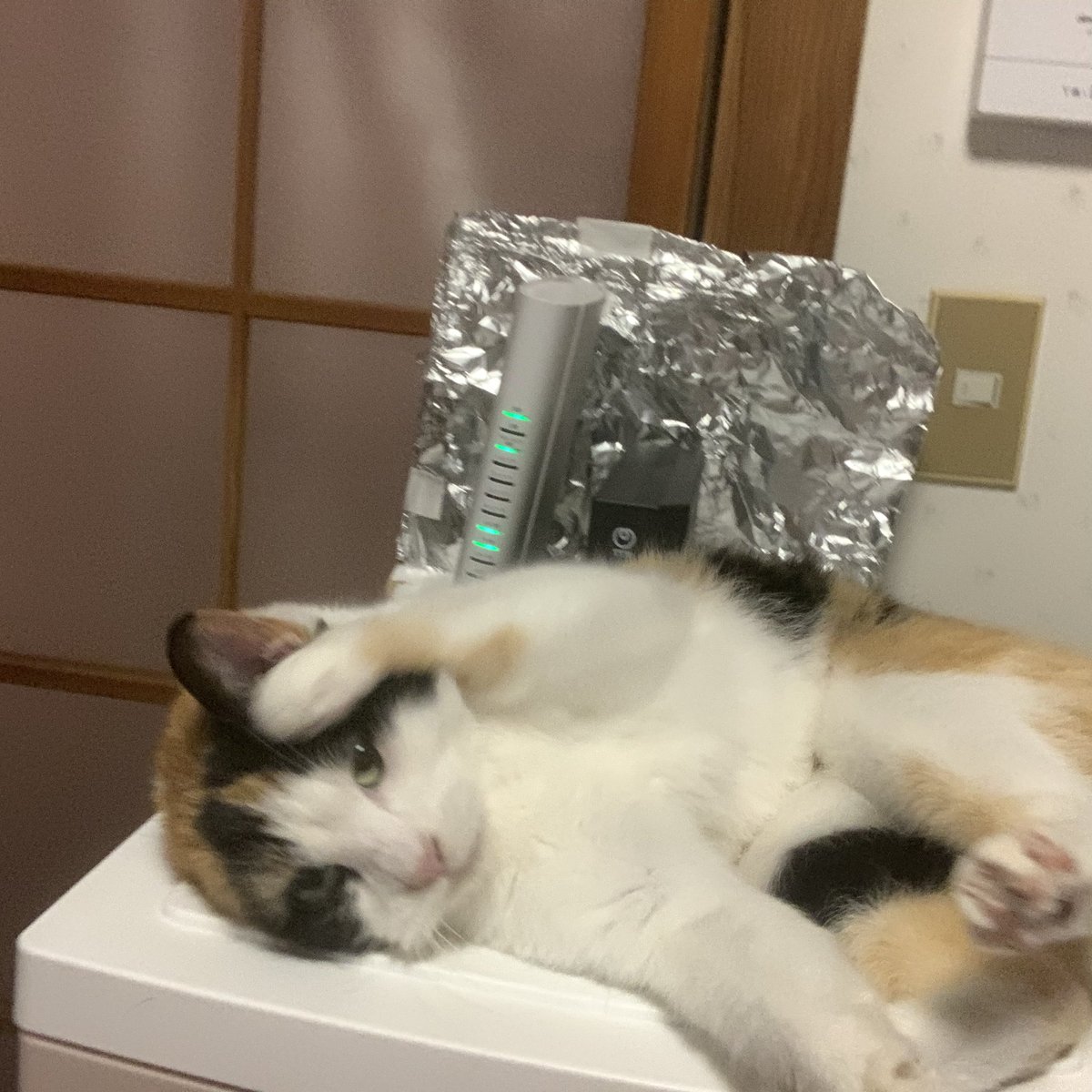 FF様の📮も読めないニャ🐾