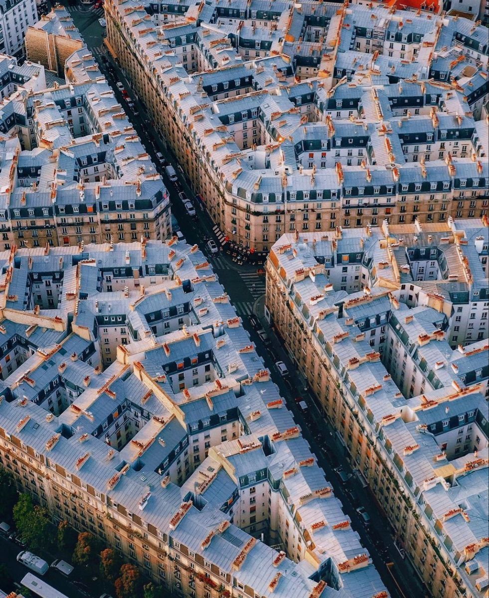 Brandon Donnelly tweet media