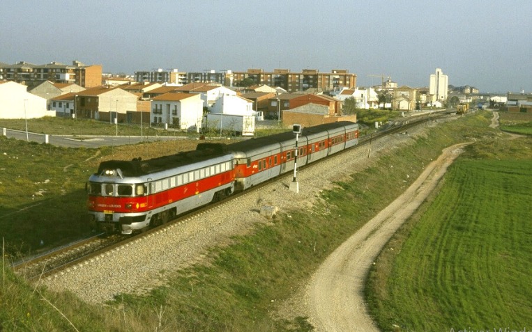 Enric MS 🐕♥️🐈🐾👬 tweet media