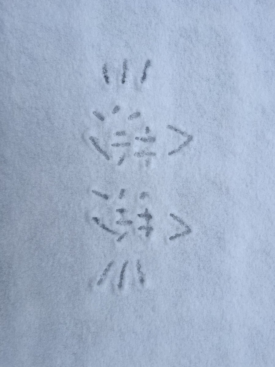 除夕快乐！新的一年也要好好冲好好爱自己😊#les