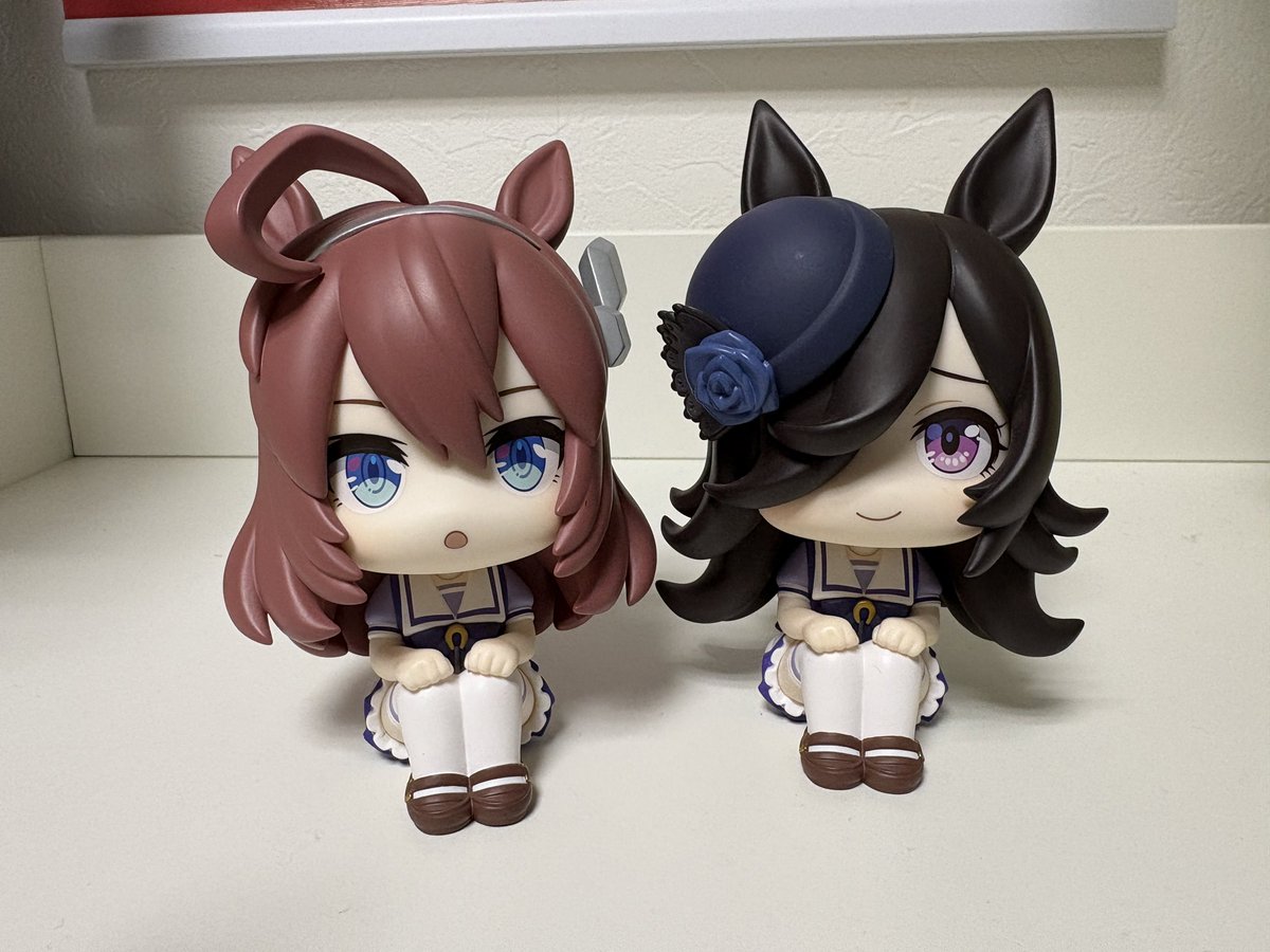 ライスシャワーとミホノブルボンの るかっぷをお迎えしました✨ 並べる