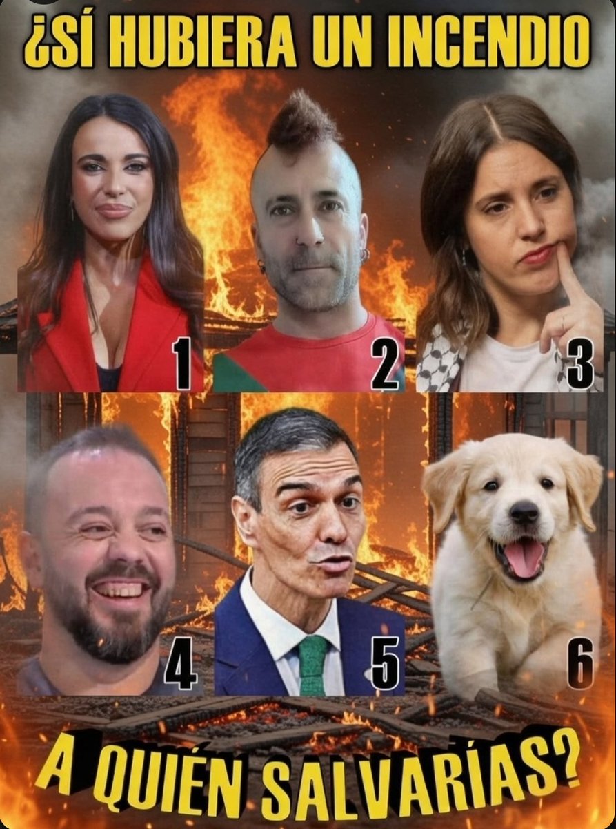 SolidKroket tweet media