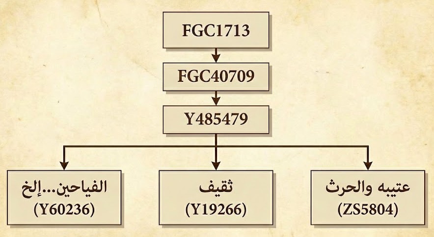 بعد انعزال fgc1713 الاخير عن التحورات التي كانت مجاوره له    by2,fgc7,fgc5,fgc7944 ظهر انعزال اخر تحت التحور fgc40709 من fgc1713 عزل كل من zs5804 و y19266 و y60236 عن باقي التحورات وقد نشهد انعزالات اخرى ايضا تحت fgc1715 قريبا.
