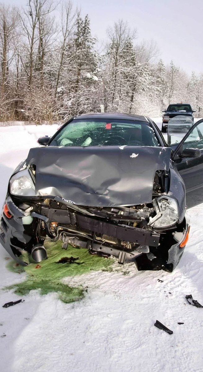 Mr PitBull tweet media