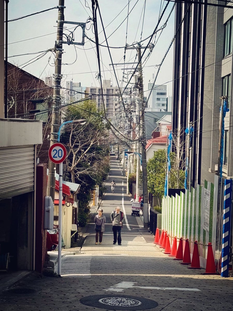 ポジティブな若者 (@k_woods511) on Twitter photo 