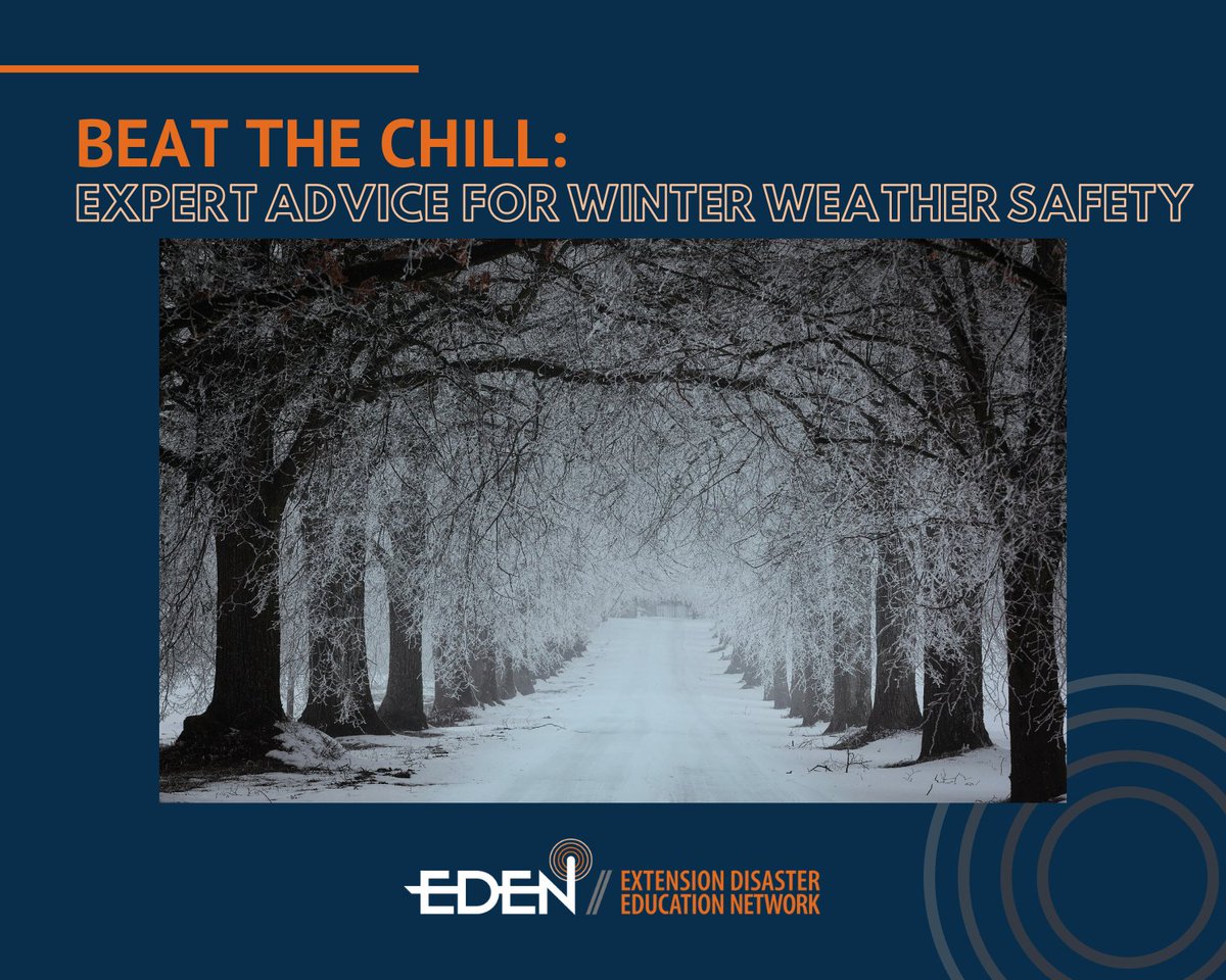 Extension Disaster Education Network tweet media