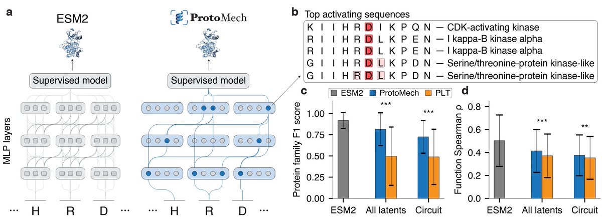 Darin Tsui tweet media