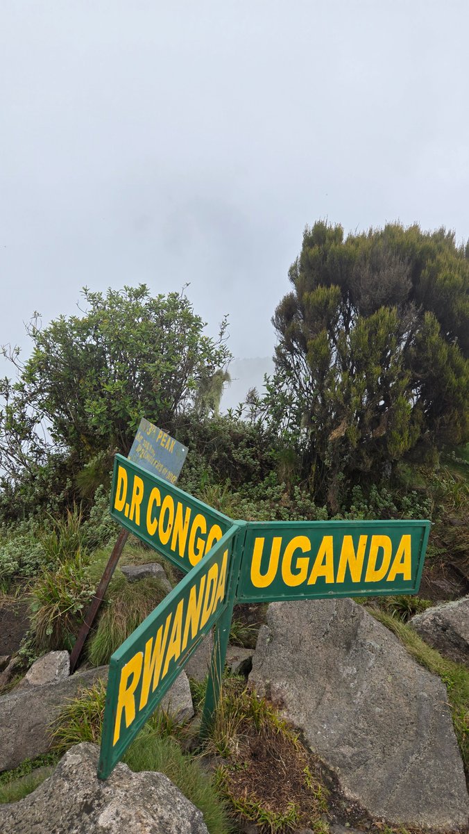 What a magnificent but tiring 3 weeks!

Started my trip from Arusha, Tanzania with a Safari in Ngrongoro Crater. Crossed by bus to Nairobi, Kenya. Did a Safari in Massai Mara NP.
Took a bus to Uganda where I rented a 4x4 for a week.
Then Rwanda > DR Congo > Burundi!
Questions?