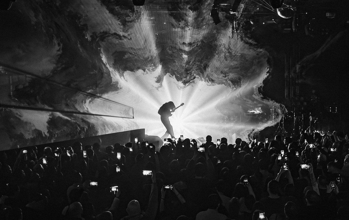 Дельфин tweet media