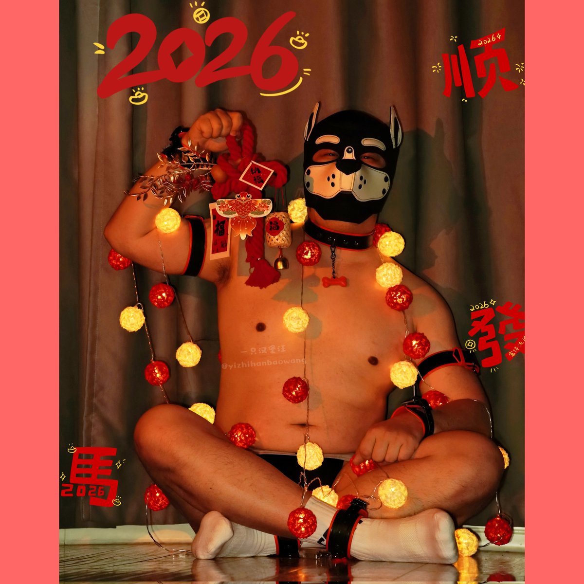 一只汉堡汪🍔 tweet media