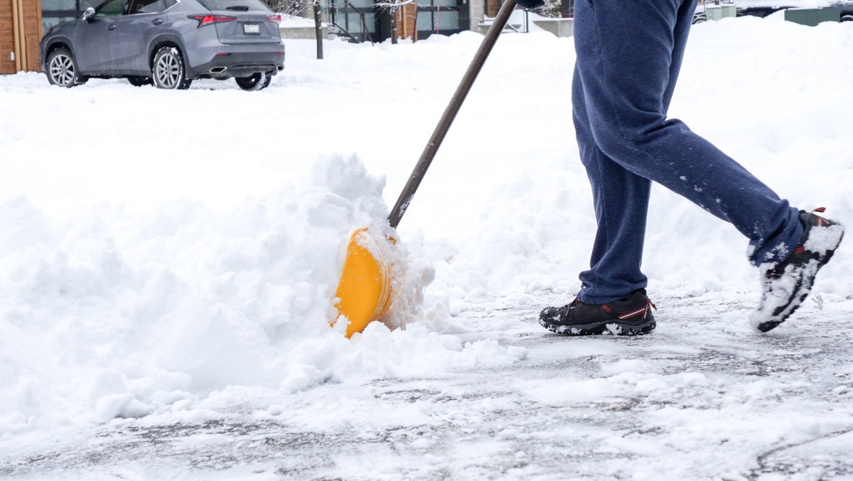 Silverbel_GTA's tweet image. Did you know shoveling snow into the street may be illegal and unsafe? ❄️🚫 

Learn the local rules and keep your sidewalks &amp;amp; neighbors safe. 

#WinterRules #SnowSafety #SilverbelLandscaping

🔗bit.ly/49ZpBmN