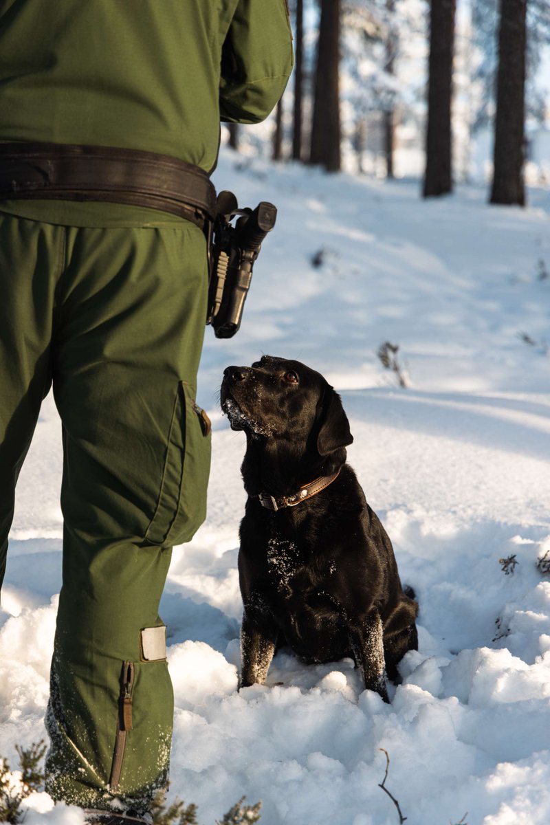 Karjalan prikaati tweet media