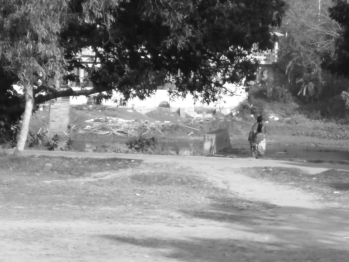 I wish you to know that you have been the last dream of my soul . 
- Charles Dickens , A tale of Two Cities 
#MonochromeMonday 
#ClassicLitMonday