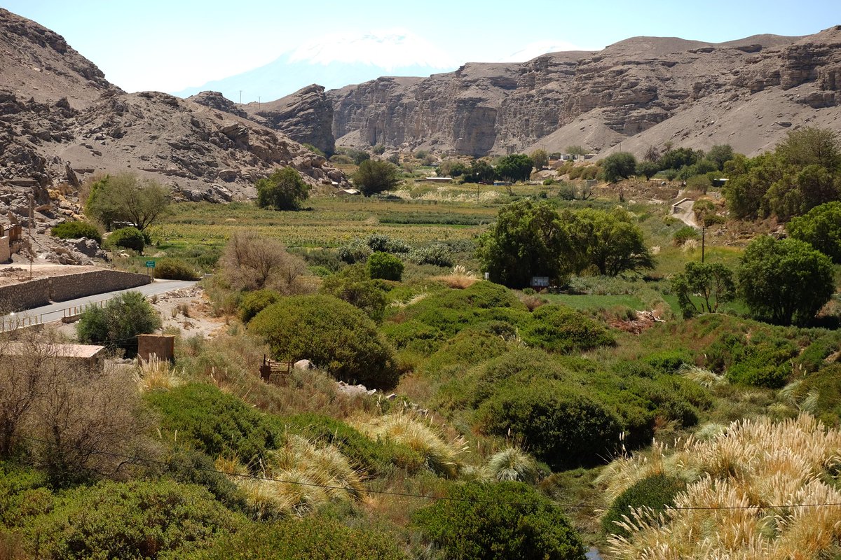 灰色の空の下、ラサナ渓谷は古の秘密を抱き、雲が砂漠を永遠のささやきで撫でる。そして今、カラマへ戻る時が来た。

22°16′15″ S, 68°37′57″ W