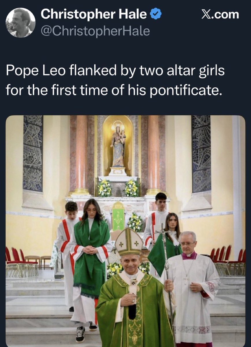 Dr Taylor Marshall™️ tweet media