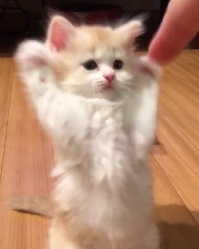 เหมือนเลย 🥺