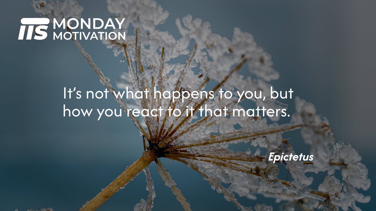 studiis.app tweet media