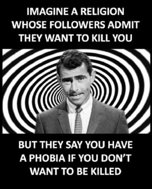 Liza Rosen tweet media