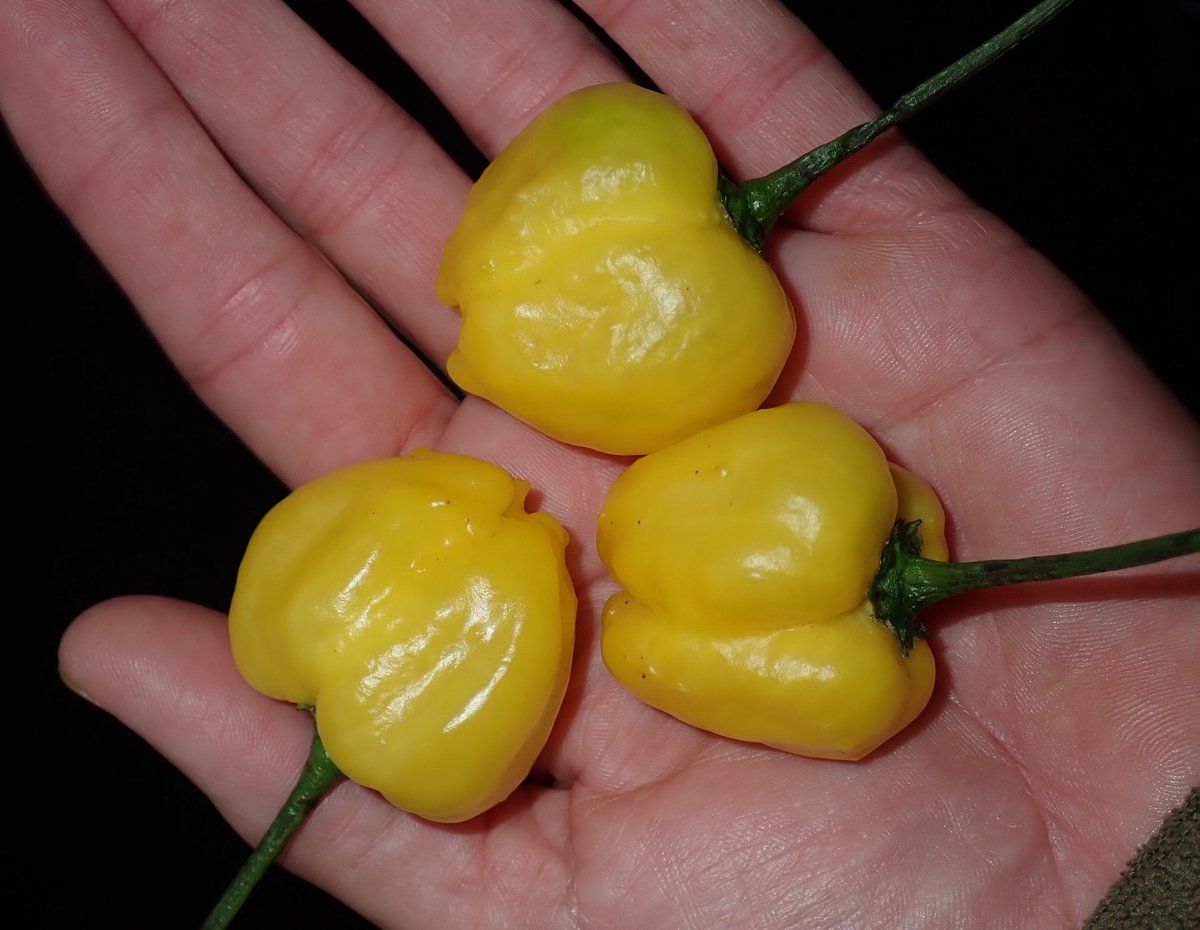 Chris Fowler tweet media