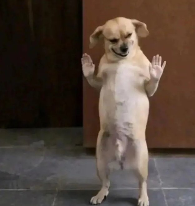 As I dey trade, I dey bet, I still dey bomb and I dey observe watin I go thief join.