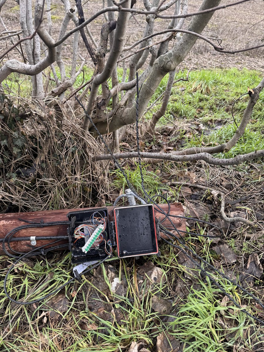 Chris Randall tweet media