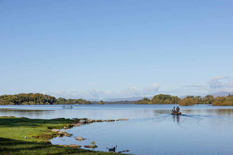 DestinationKillarney tweet media