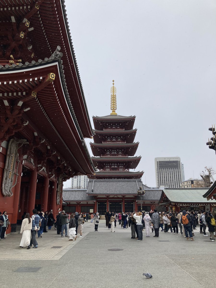 五戸真理枝 Gonohe Marie tweet media