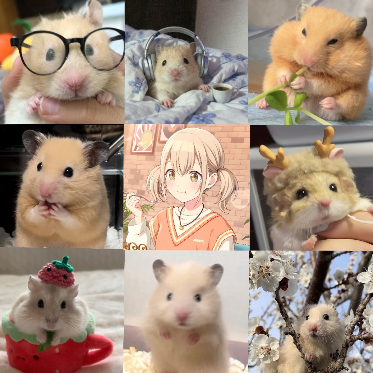 SHIRAISHIMACHI's tweet image. #my kohane variants